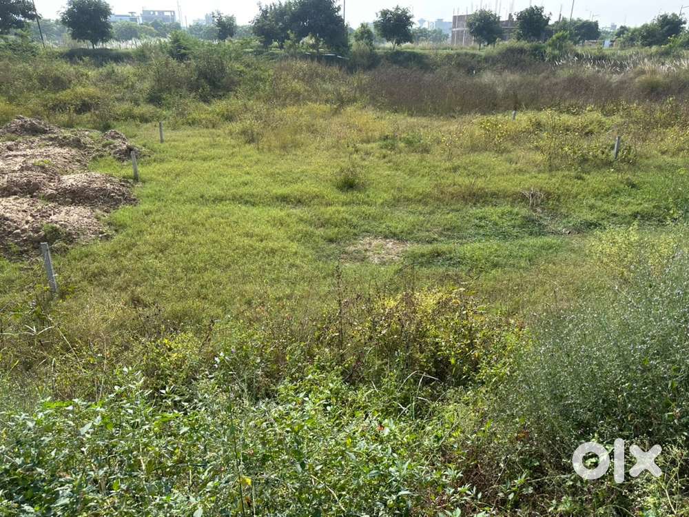 1 Kanal Plot for Sale NeW Chandigarh