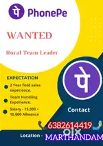 Team Leader