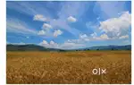 Land for sale 8.50 cents in Uchila for 3 lakhs per cents