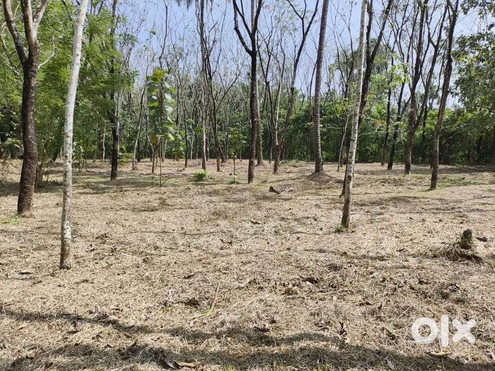 67cent rubber plot for sale