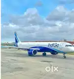 Domestic/international airport ground staff jobs in  indigo airlines