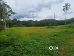 Piravom onakoor 5 ,6 cent housplot 1 lak only 12feet rod 700mtr busrut