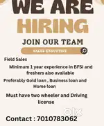 Sales Executive