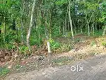 1.75 acr plot for sale@vengola,perumbavoor