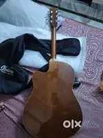 Acoustic guitar