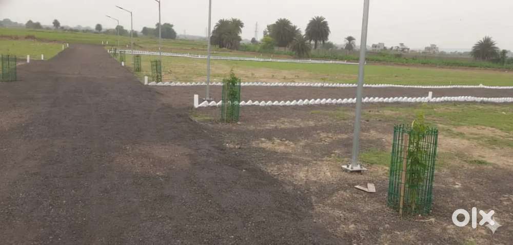 Mohira residential plot near petrol pump