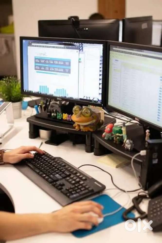 BPO/chat support/telecalling