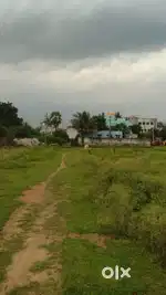 Approved plot