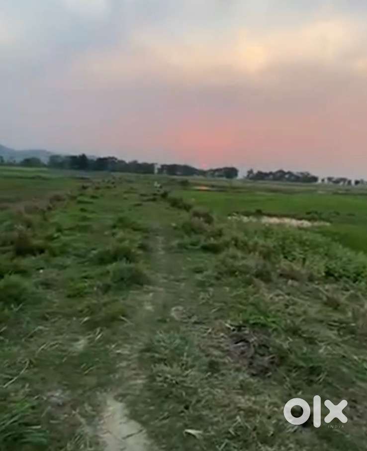 11 BIGHA LAND FOR SALE AT MORIGAON, JHARGAON