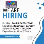 Sales Executive (Credit Crard and personal Loans)