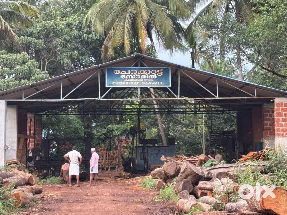 Sawmill with machinery and shed for sale