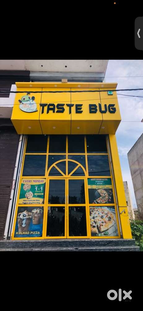 3,10,000 taste bug naraingarh for sale