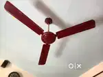 Bajaj ceiling fan
