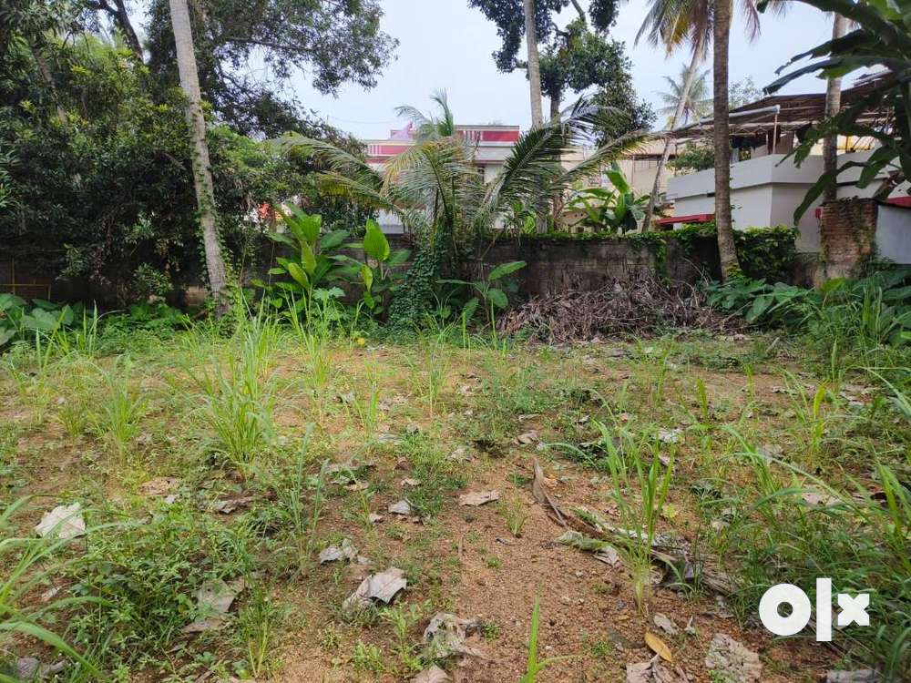 (IDS198822) LAND FOR RENT AT JAGATHY