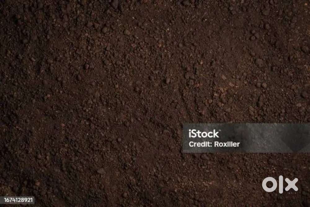 Land for sale near maharishi school