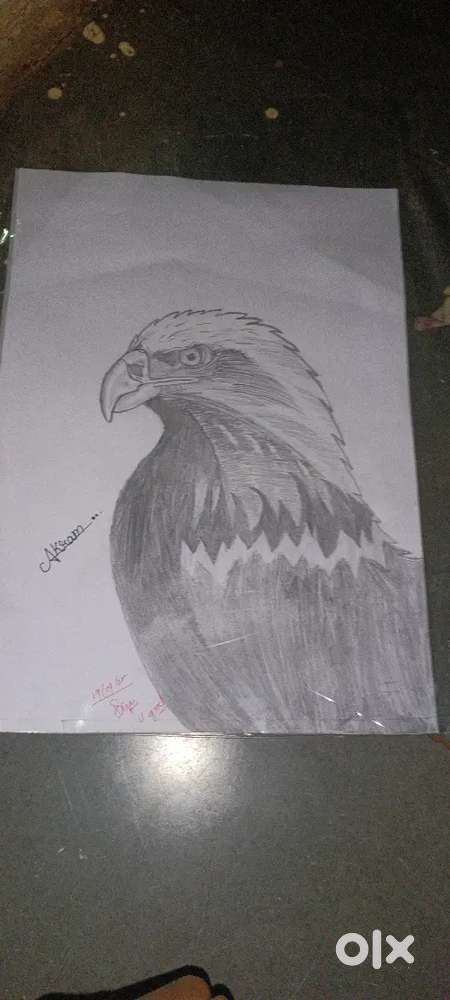Art or drawing