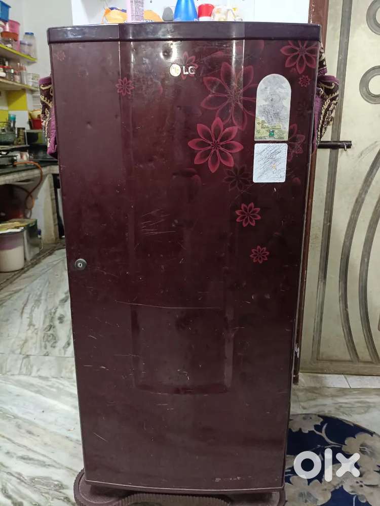 L G Singh door fridge running