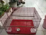Big Red cage