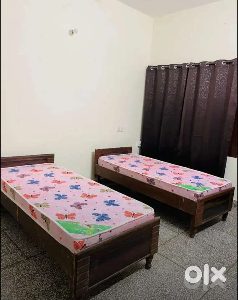 Brand new pg for boys 2/3 seater All