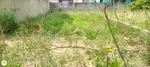 GBP eco home dera bassi