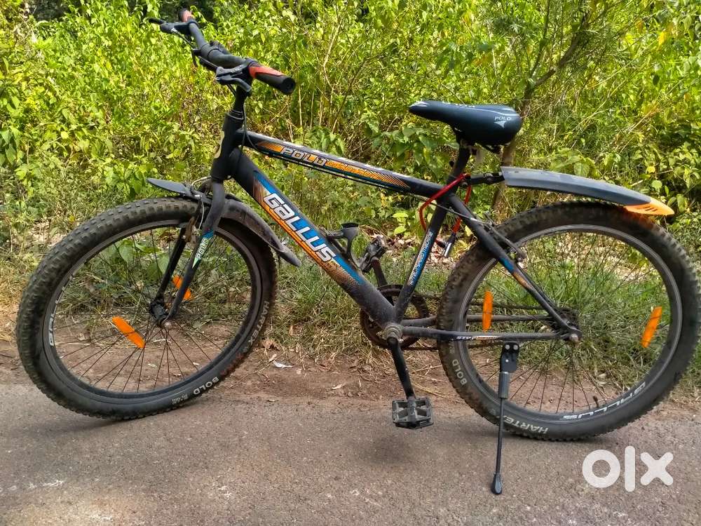 Excellent cycle