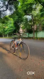 Vector 91 700c cycle