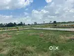 1 Bigha investment plot and farm house plot for sale
