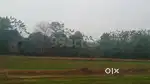 4 Kanal Land for Sale in Gagret Una Highway Near BDM Juice Factory