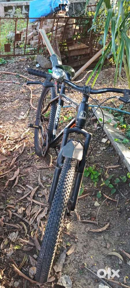 Elite bicycle Very Good Condition New Tyres Both Sides