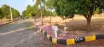 Swayamkrushi Infra Projects