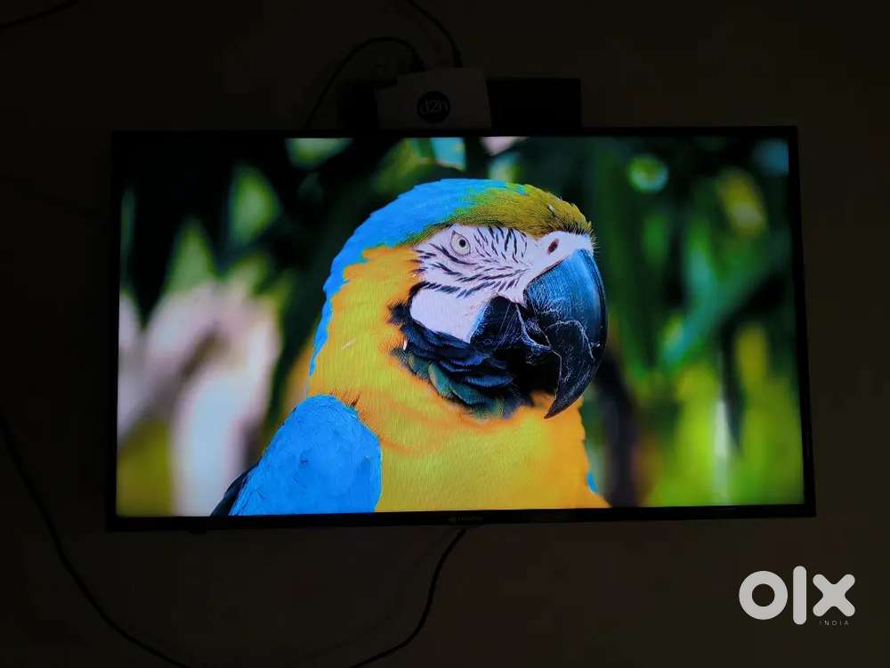 40 INCH FHD+