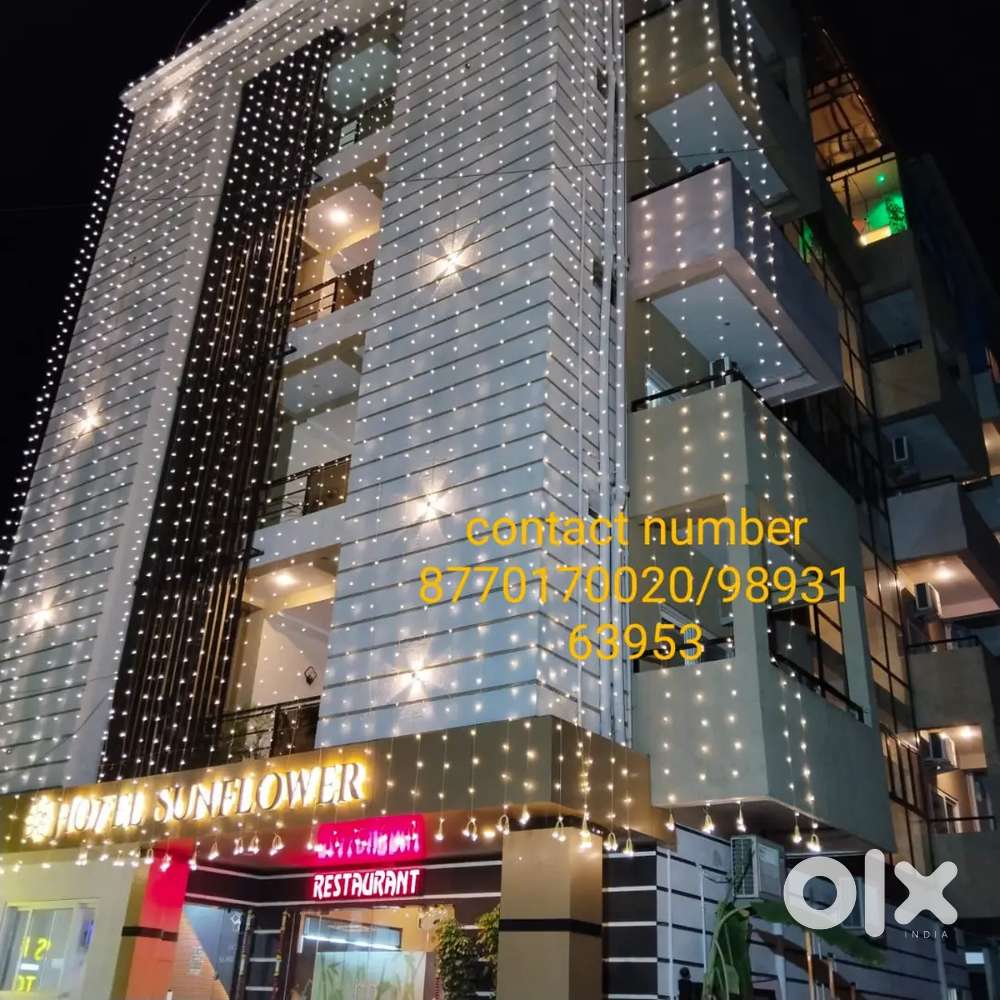 Chief hotel sunflower