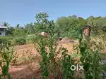 Plot for sale in Valavanadu