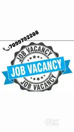 Official work (online products selling)