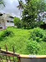 8 cent plots sale at Irumpanam.