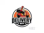 Delivery Executive
