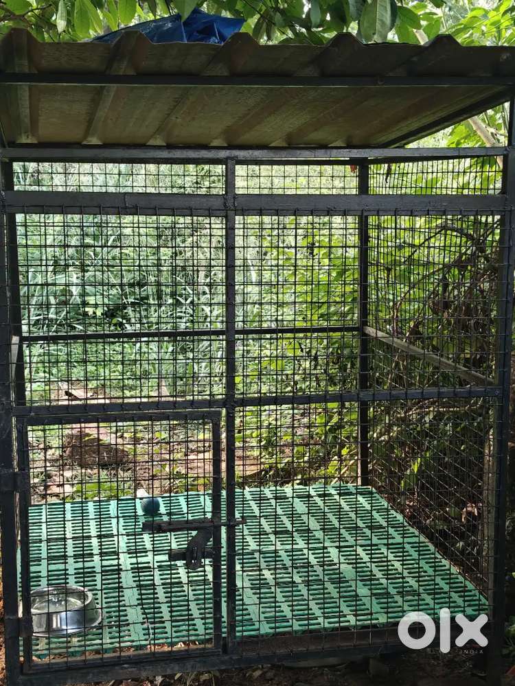Dog cage for sale