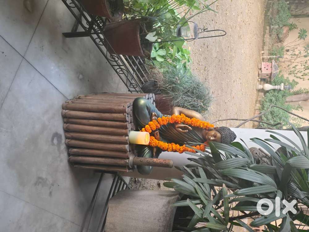 Needed south indian cook