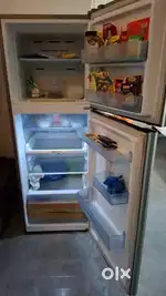 Freege samasang