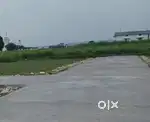 164 gaz doiwala kheri plot sale