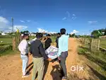 Skill develop communicate..