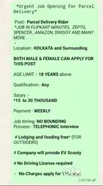 Parcel Delivery Executive
