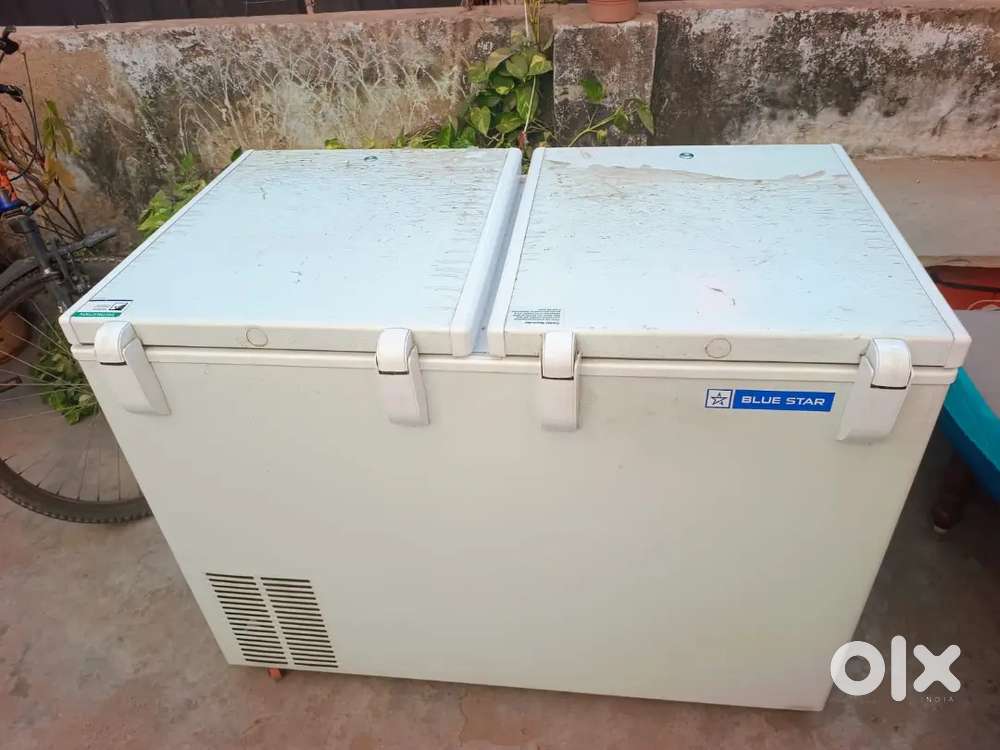 Blue star peti freezer