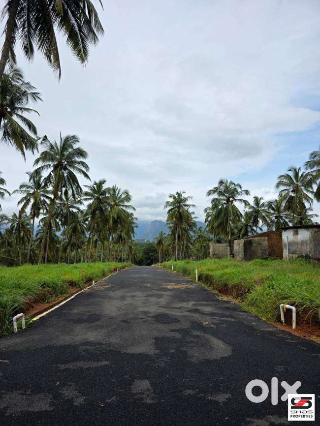 9 Cent House plot for sale in Viyyakurissi,Palakkad