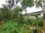 5 CENT PLOT FOR SALE THIRUMPUPPAM , Varapuzha