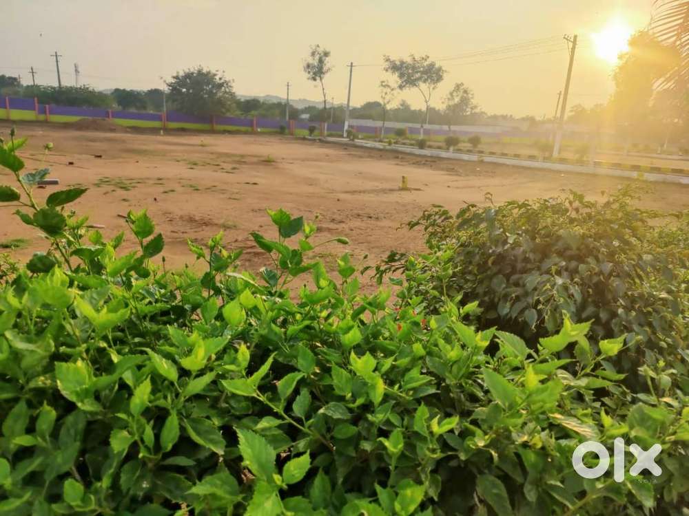 30*45 Size Residential Plots For Sale Near Keesara Bhogaram
