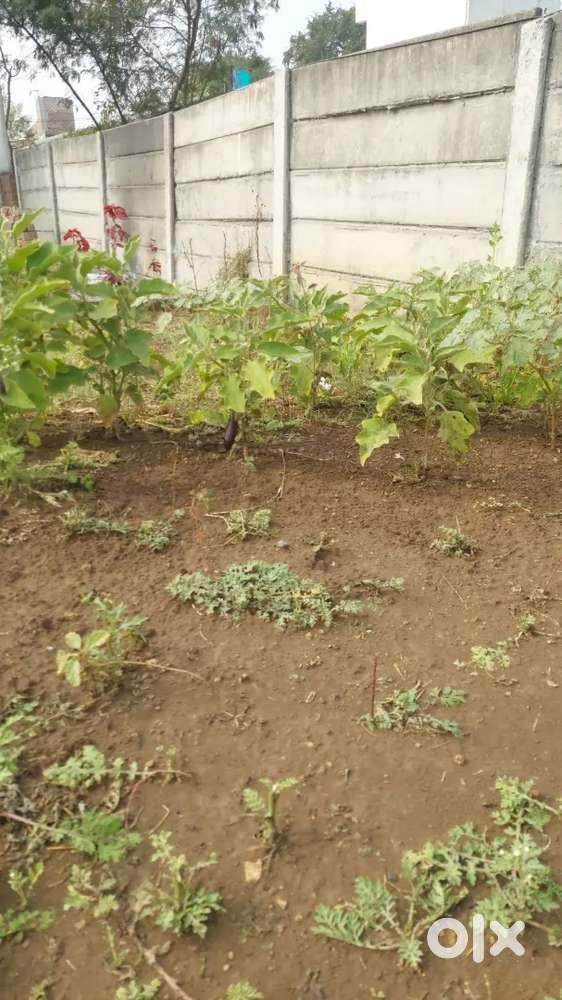 Land 4 Acre is for sale at karahi  Road.