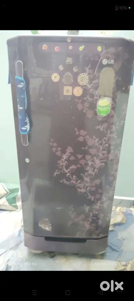 LG fridge single door