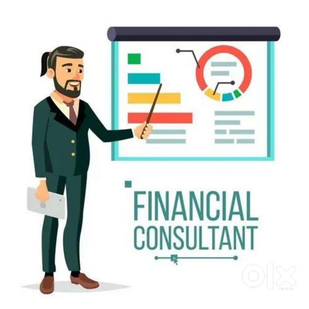 Financial Consultant