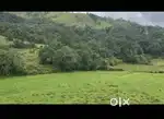 Near Devarmane, Mudigere - Land Area: 3.5 acres - Property Type: Agri